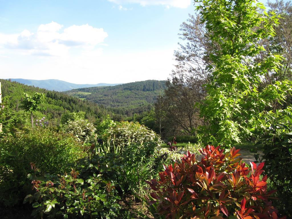 Le Petit Rias Gite Soleil Saint Maurice en Chalencon Eksteriør bilde